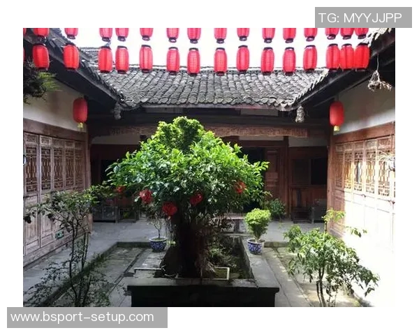 姚明与乔乔的篮球传奇交汇点探讨与启示